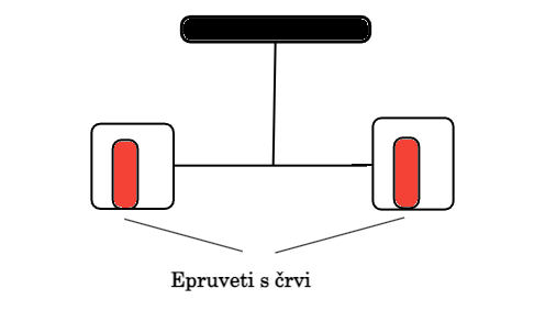 Epruveti s črvi