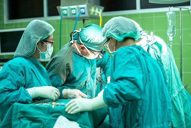 transplantacija srca, foto: sasint/Pixabay